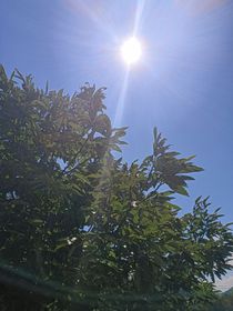我好討厭你
