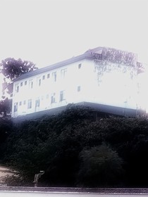双生花无限流