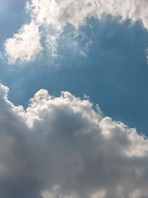 梦里寻珍