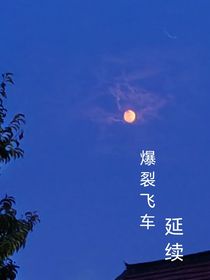 爆裂飞车4：延续