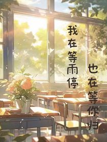 我在等雨停，也在等你归