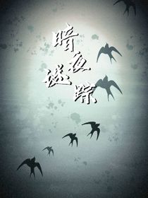 暗夜谜踪
