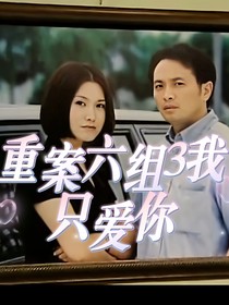 重案六组3我只爱你
