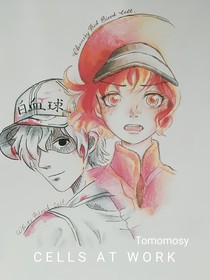 工作细胞小番外