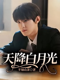 天降白月光