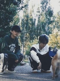 年少的欢喜是什么