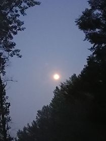 骄阳青春