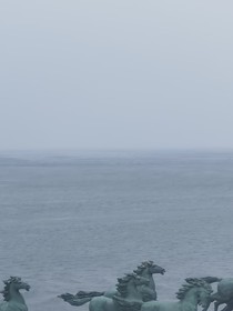 综影视，改变悲惨女配