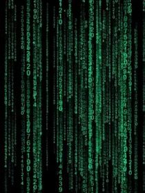 当每个游戏都有各自的学校