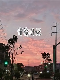 梅柚的青春日記