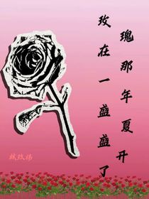玫瑰在那年夏天盛開了