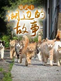 猫武士：湖边的故事