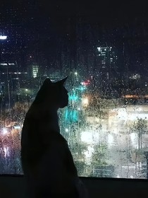 雨天，雨夜，那個人