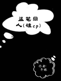 盗笔同人（磕cp）