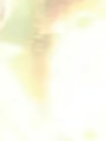 神印：偏爱-d922
