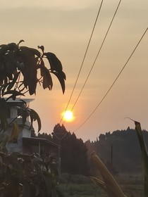 我愿与你同沐光辉