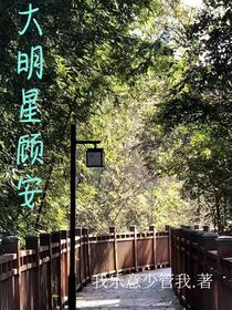 大明星顾安