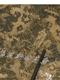 Hp福波斯的荒唐一生