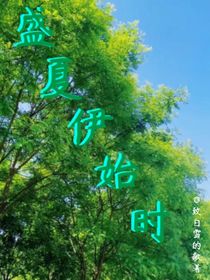 盛夏伊始时