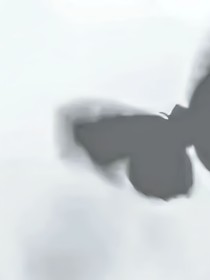 我帮你挡着