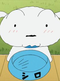 性缘脑合集（影视版）
