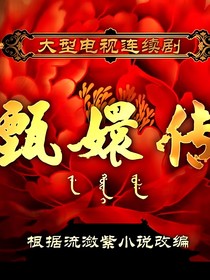 甄嬛传（改编版）