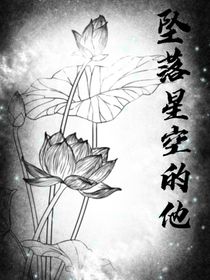 坠落星空的他