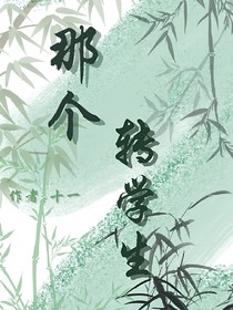 那個轉(zhuǎn)學生（鉆A）