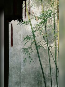 生死距離
