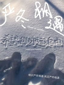 严冬相遇
