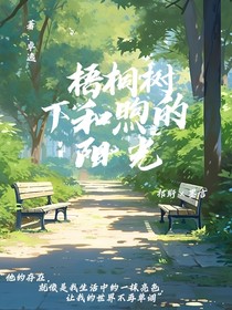梧桐树下和煦的阳光