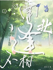 南北不相逢
