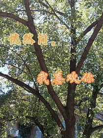 恍然间，我喜欢你