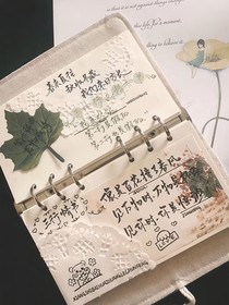 仰望星空下的你