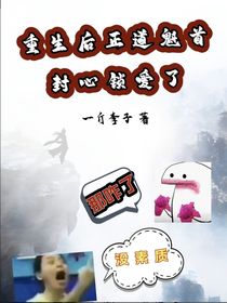重生后正道魁首封心锁爱了