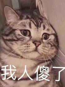 宝友：这个光环系太颠啦