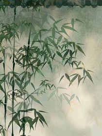 我的靈感與吐槽