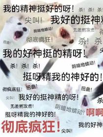 第五人格摄卡