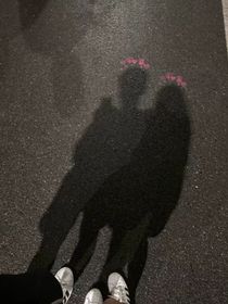 胆小鬼不配拥有爱情
