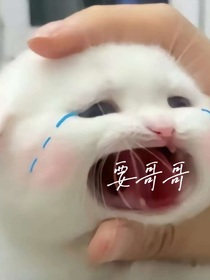 我的矫情日常