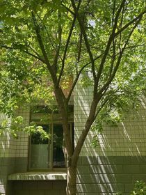 阳光沐浴下的小岛