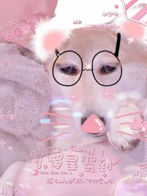 重生之我是霸總的狗