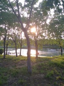 草稿夹——我的名学作品录