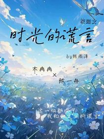 时光的谎言x-d659