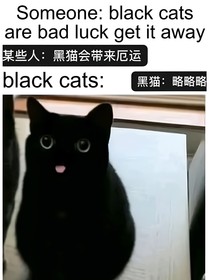 無名作者的孤獨狂歡