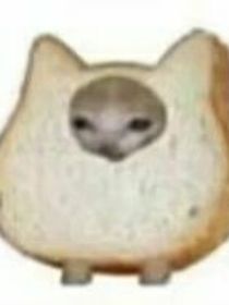 对不起，我一定是个坏孩子
