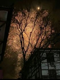 唯有美食不可辜负
