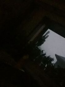 自由的樣子