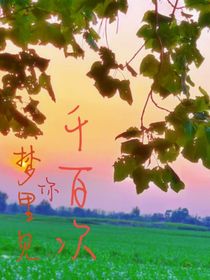 梦里见你千百次