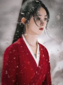 综影视之长离